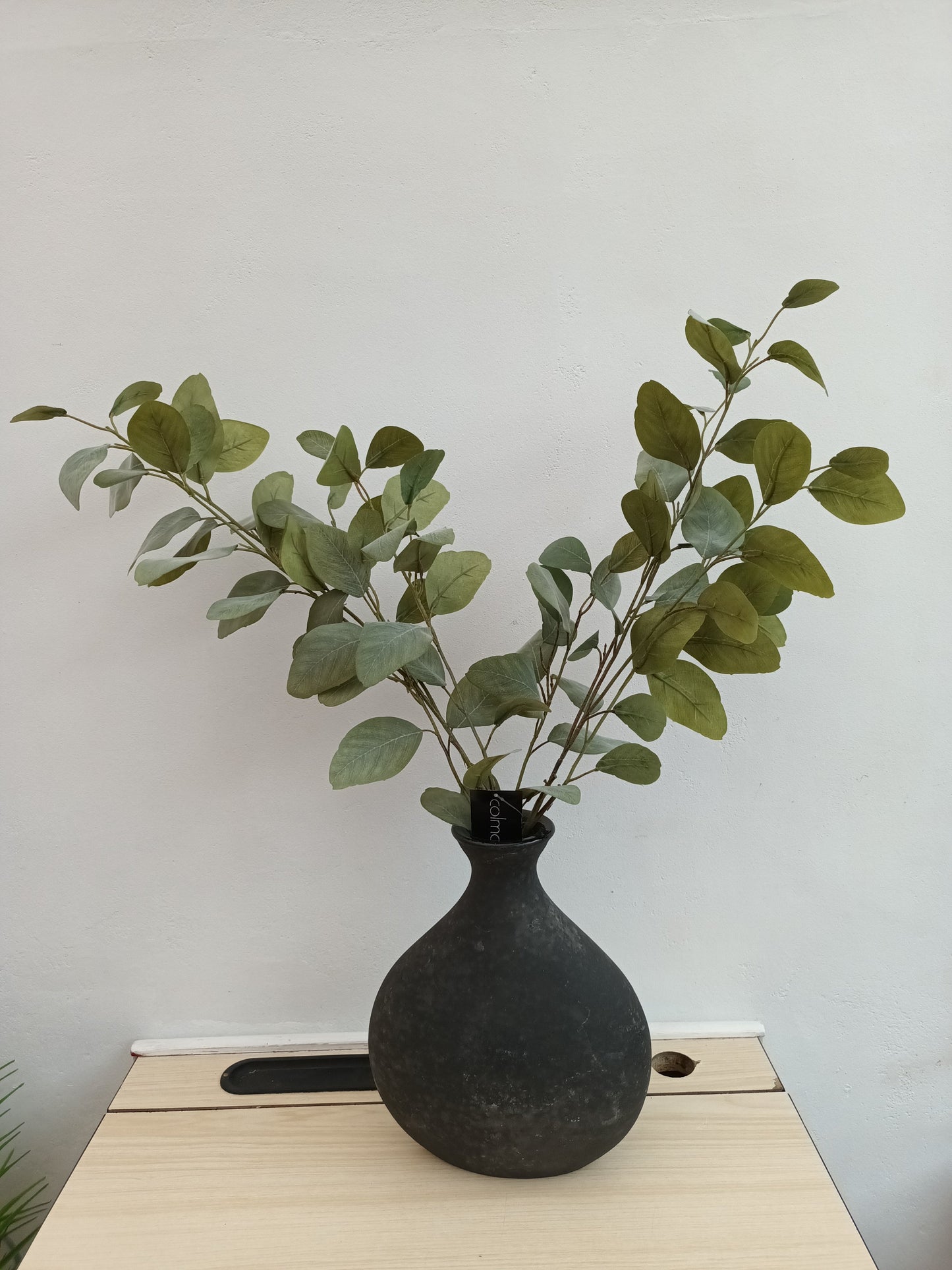 Siertakken Eucalyptus groen