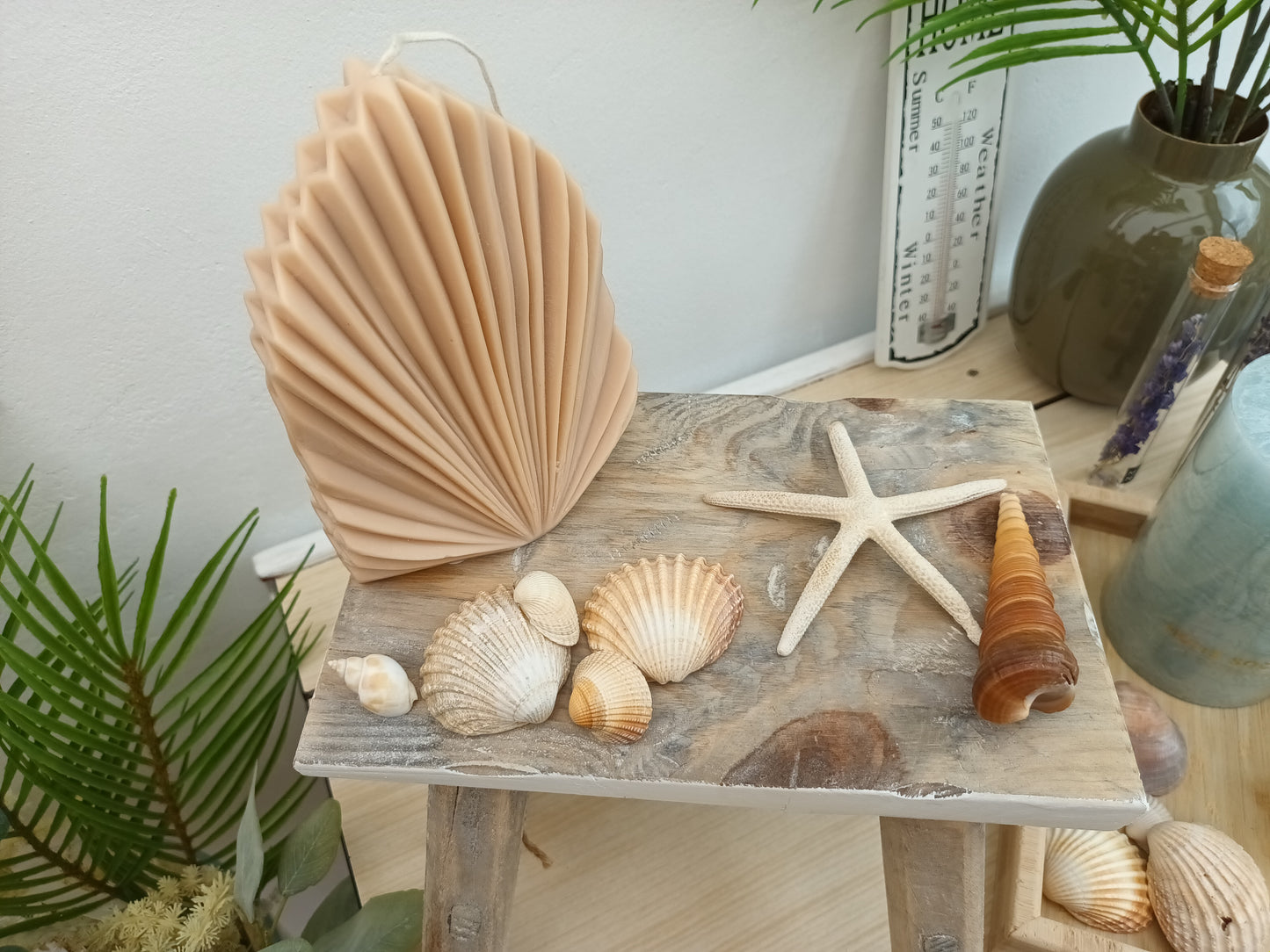 Palm spear shell beige Kaars kokosgeur