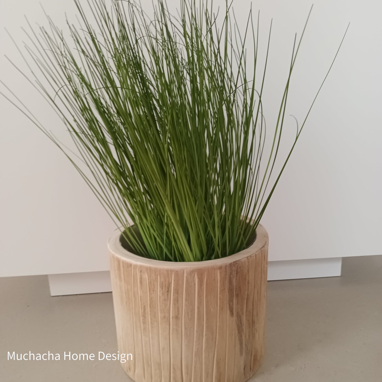 Sierplant siergras in metalen pot - Onion grass - 76 cm