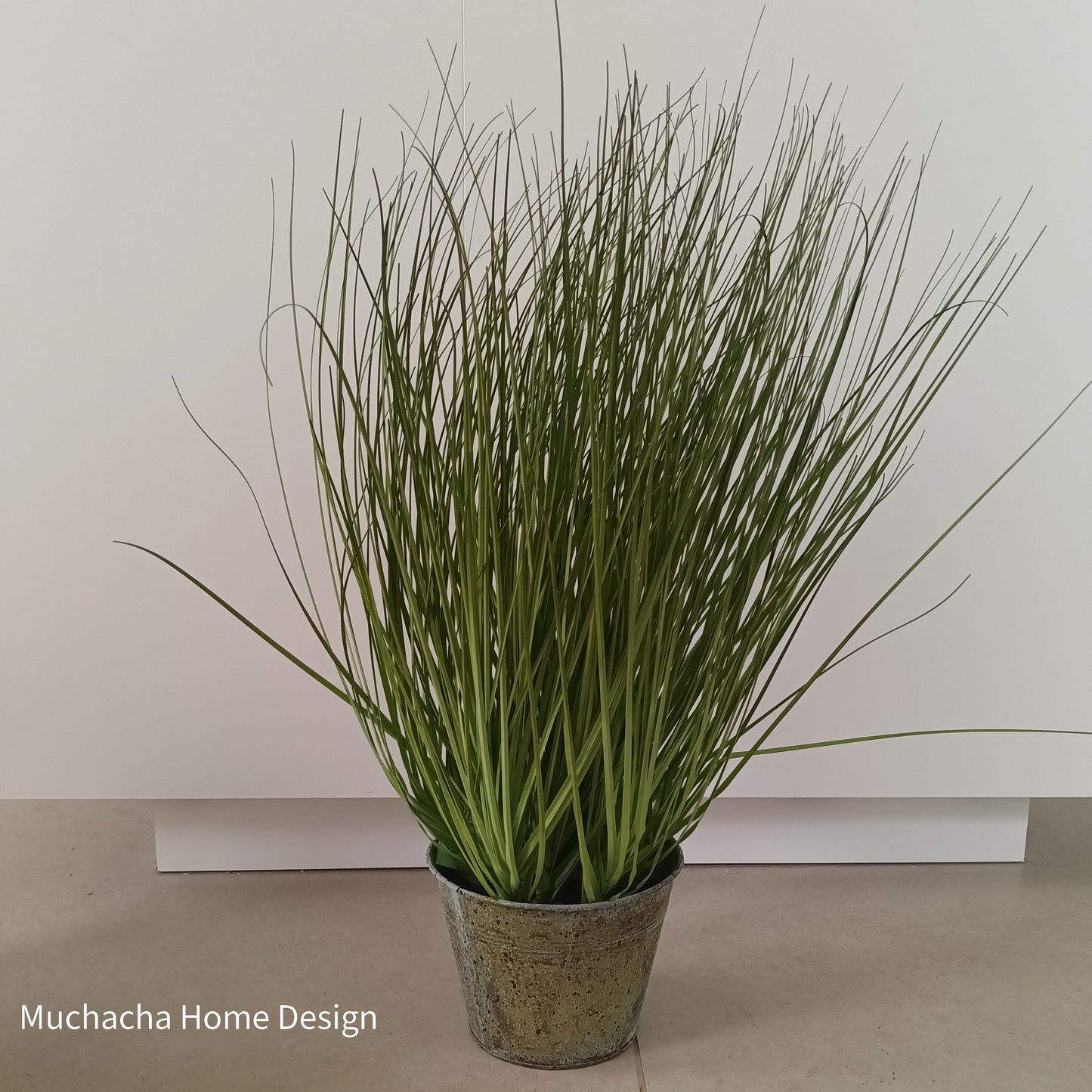 Sierplant siergras in metalen pot - Onion grass - 76 cm