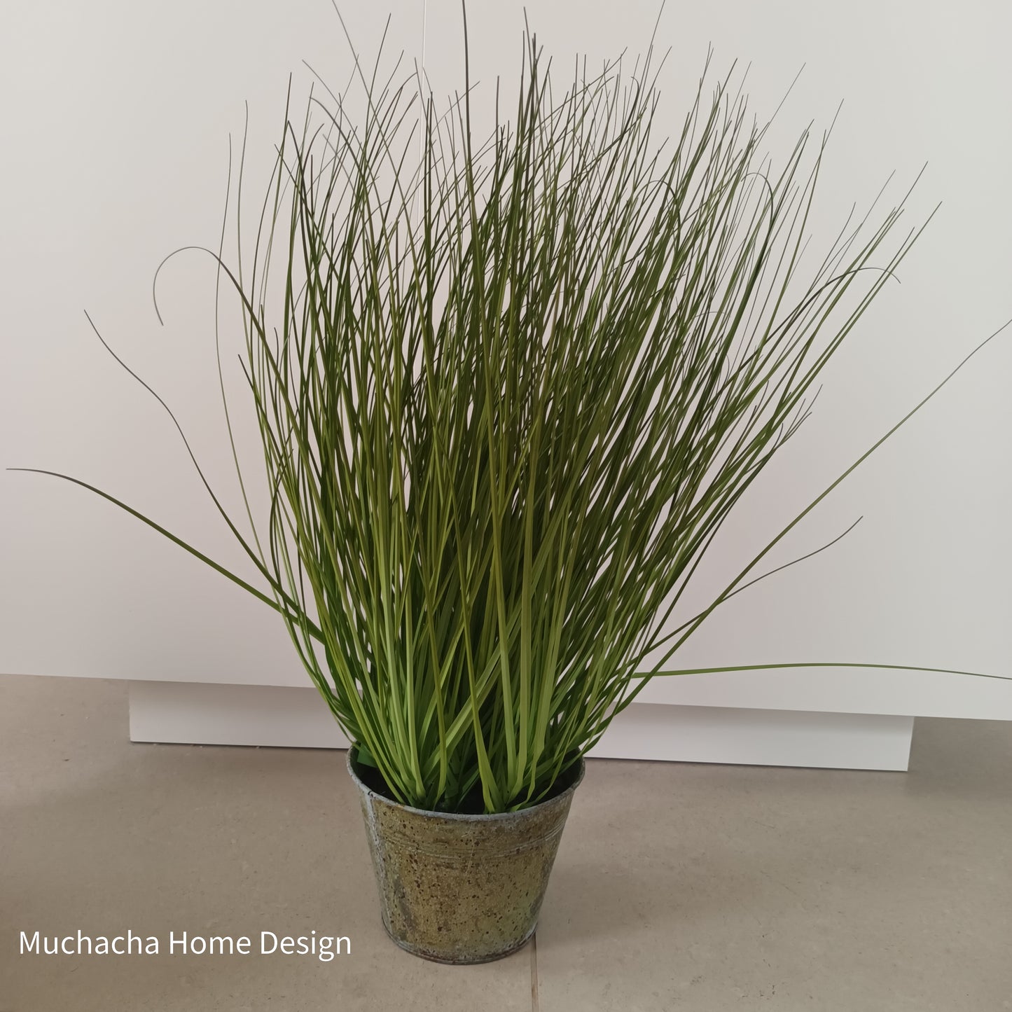 Sierplant siergras in metalen pot - Onion grass - 76 cm