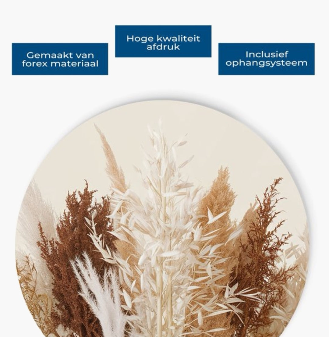 Muurcirkel - Forex - Pampas - 100 cm - verkrijgbaar in 2 designs Pampasgras